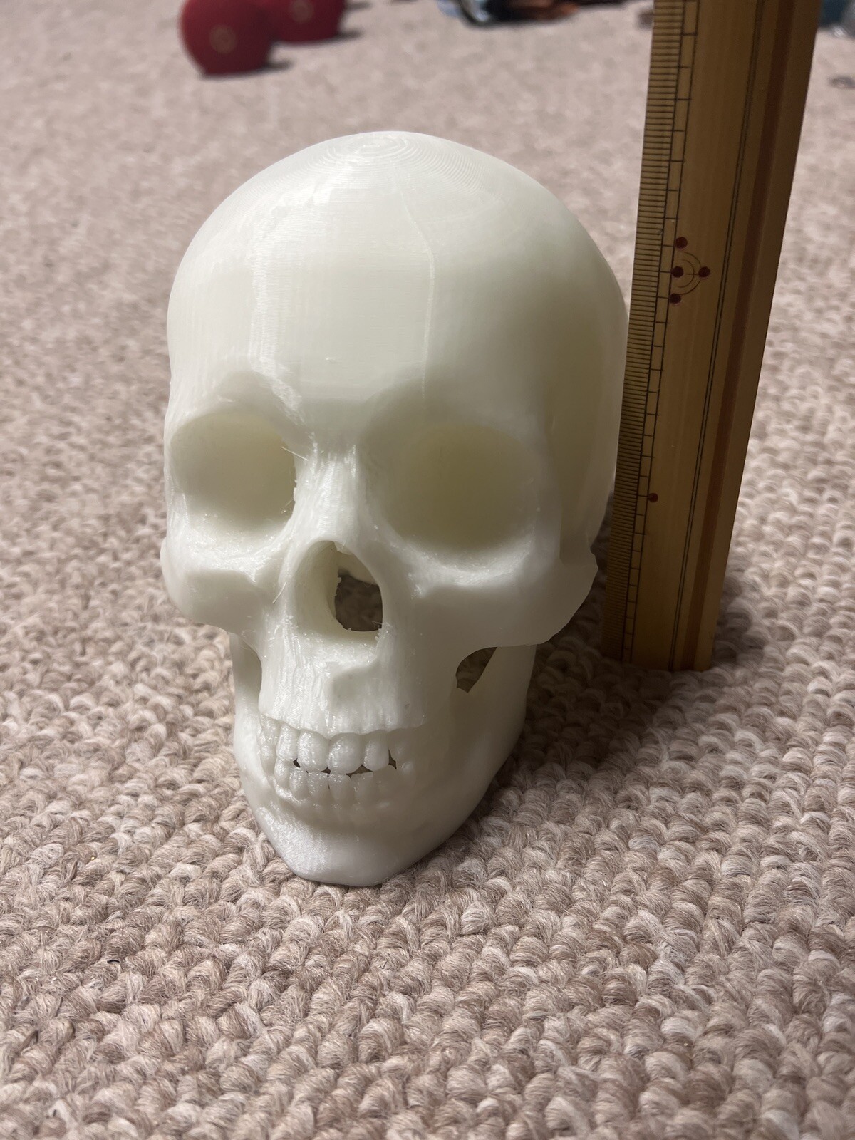 Glow In the Dark Human Skull! (Good Quality:3DP:White-PLA) GREEN OR BLUE GLOW!