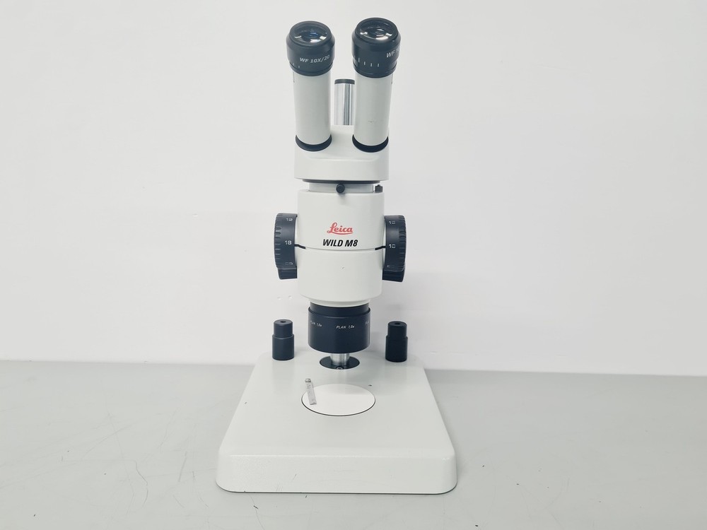 Leica M8 WILD Stereo Zoom Microscope Lab