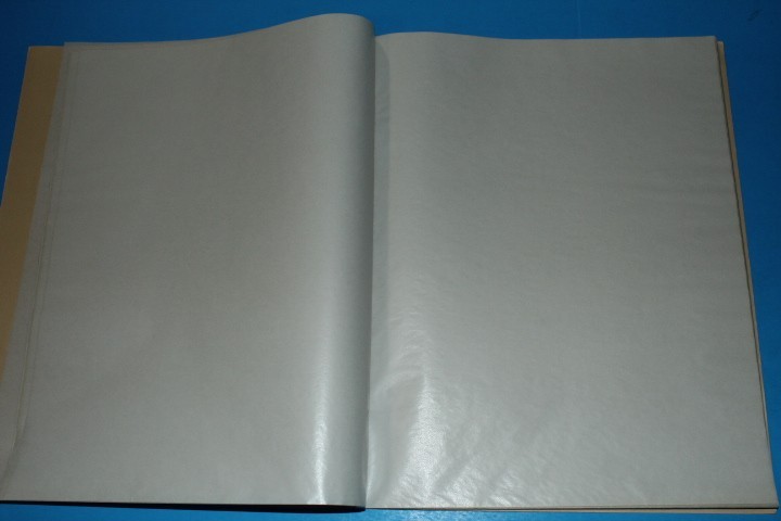 Uni-Safe Mint Sheet File Album Capacity 16 pg 3 pocket 11.5" x 9" BlueLakeStamps