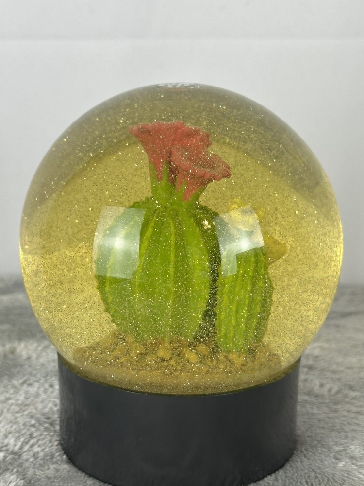 Cactus Glitter Snow globe