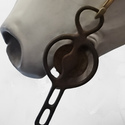 Old Shanked Solid Mouth Driving Bit 5" mouth