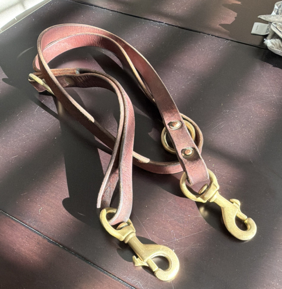 Brown Leather Dog Leash with Brass Hardware