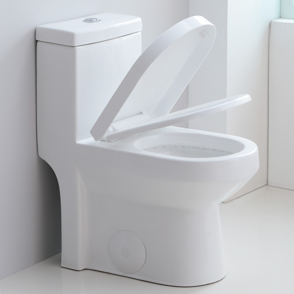 HOROW One Piece Toilet Bathroom Compact 0.8/1.28 GPF Dual Flush With Soft Seat