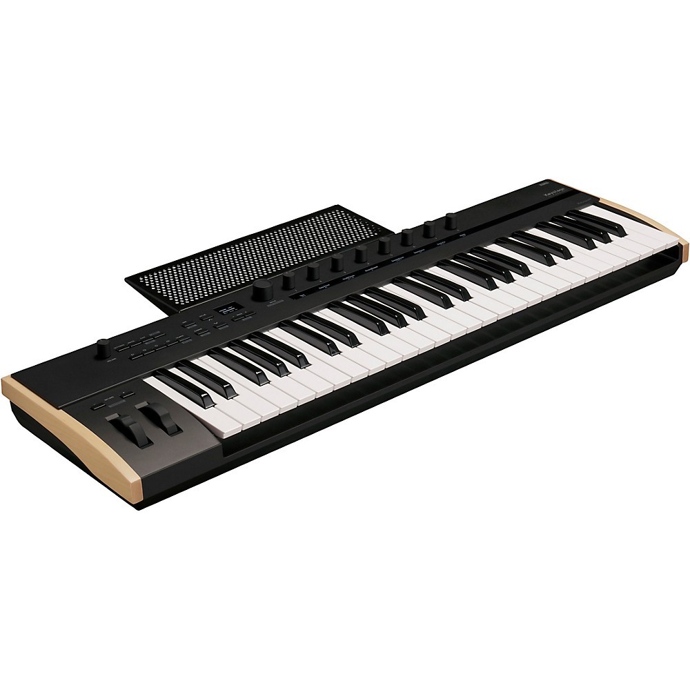 KORG Keystage MIDI Keyboard Controller With Polyphonic Aftertouch 49 Key