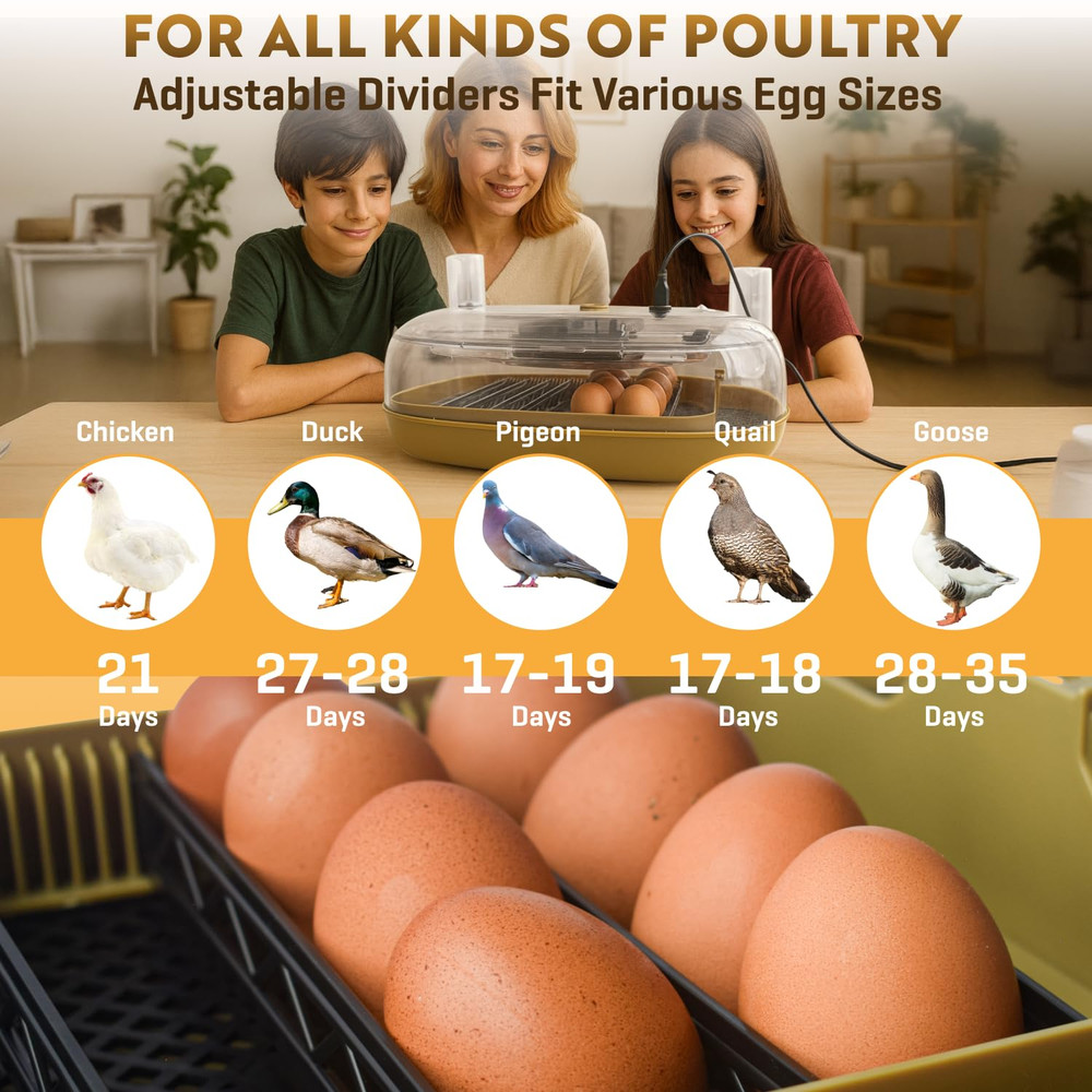 Egg Incubator for Hatching - 24-48 Eggs Capacity - Automatic Egg Turner & Adjust