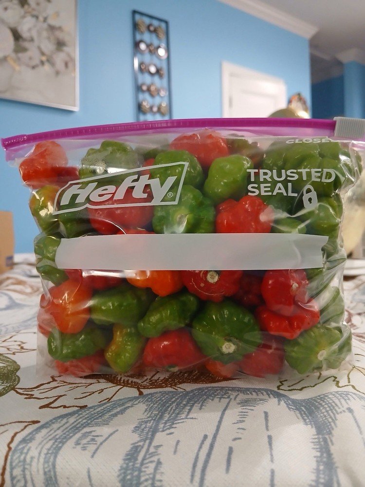 Aji Cachucha