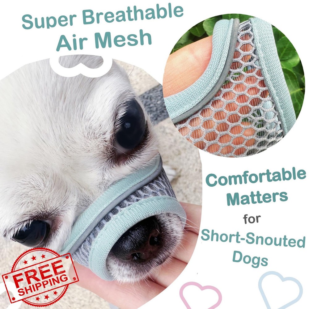 Dog Muzzle Small Medium Short Snout Biting Prevention Mint Blue S