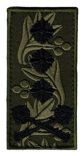 Ukrainian Colonel-General rank patch on OD