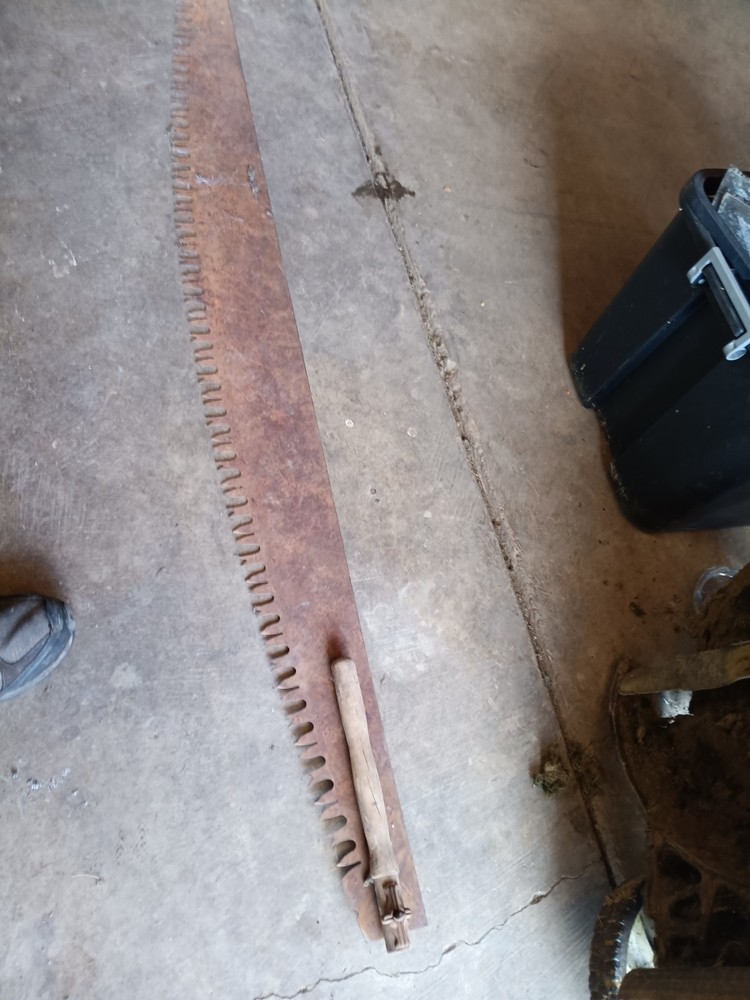 2 Wide Belly "  Crosscut  Saws
