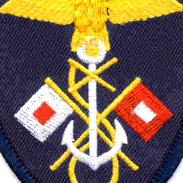 593rd Airborne Signal Battalion Patch