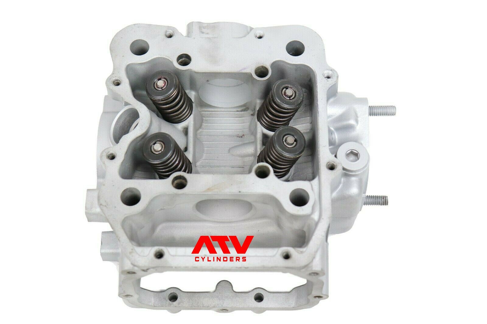 Genuine Polaris Sportsman Scrambler Ranger 500 Cylinder Head Valves Top End Kit