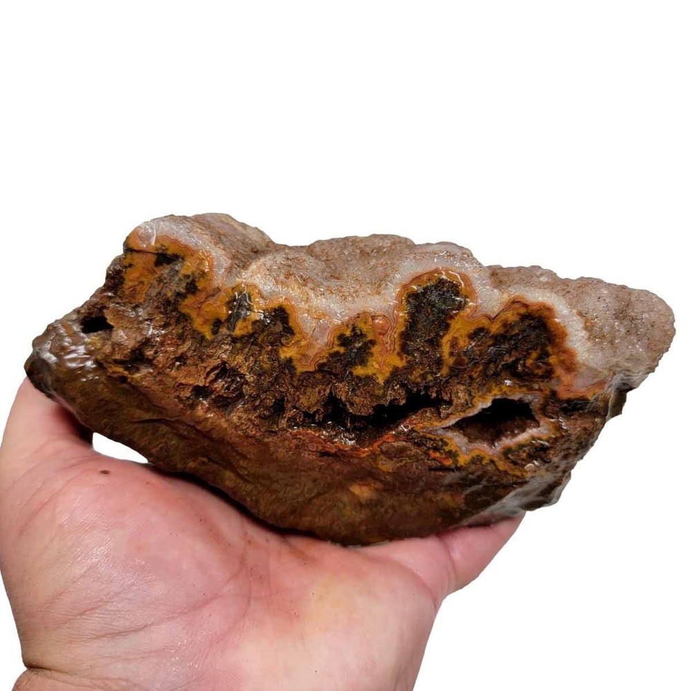 Moroccan Plume Agate Rough Chunk!