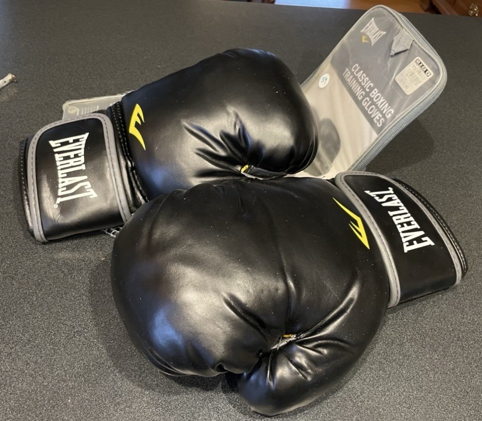 Everlast Classic Boxing Training Gloves Adjustable
