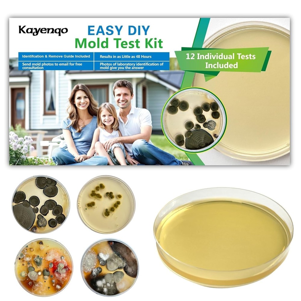 DIY Mold Detector - 12 Tests, Detailed Identification Guide