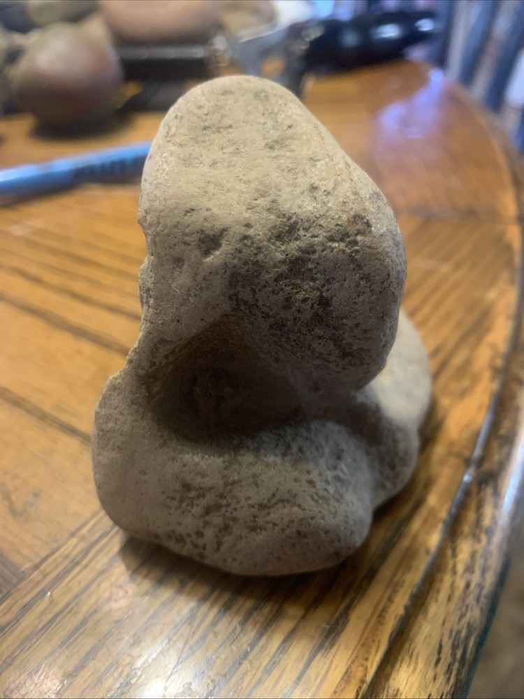 Fossils