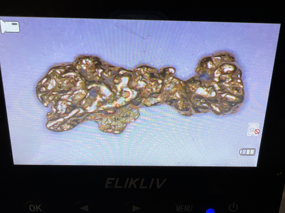 0.175 gram ALASKAN GOLD NUGGET!!!
