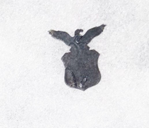 USAF Aide To Lt General Collar Device