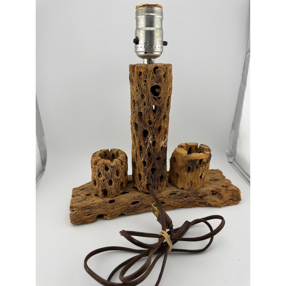 Cholla Cactus Lamp Rustic Desert Decor Table Lamp Unique Accent Lighting