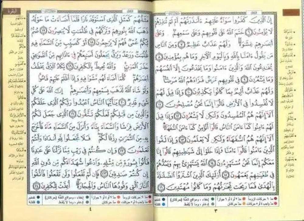 Tajweed Quran – Medium Size, Color-Coded Arabic Text Only