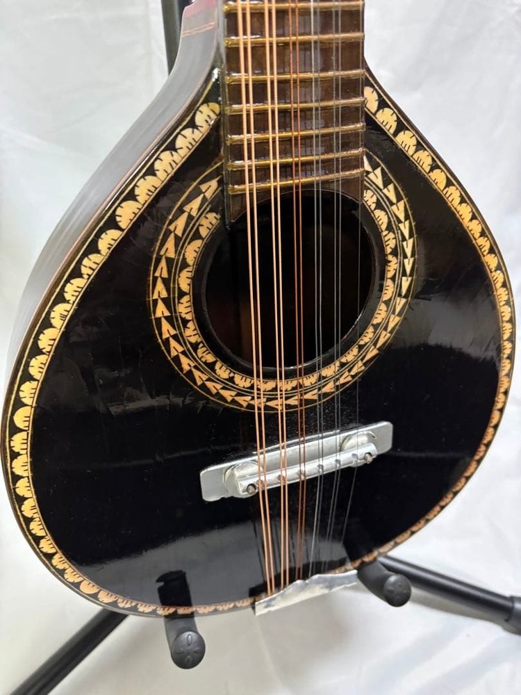 Oscar Schmidt Stella 12-string (1920s)