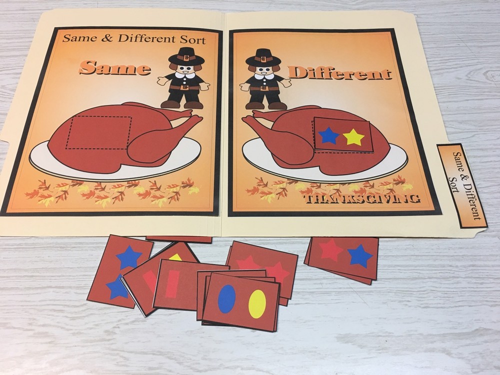 Thanksgiving - File Folder Game - Activity Set - Same & Different Sort