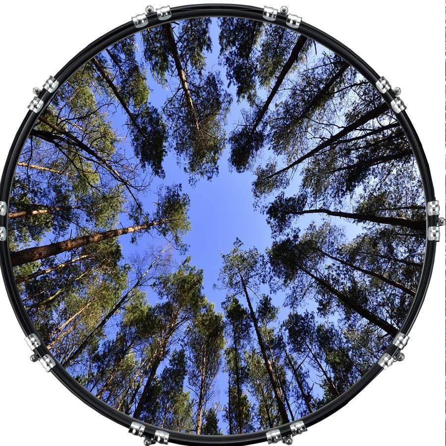 20" Custom Bass Kick Drum Front Head Graphic Graphical Trees 1