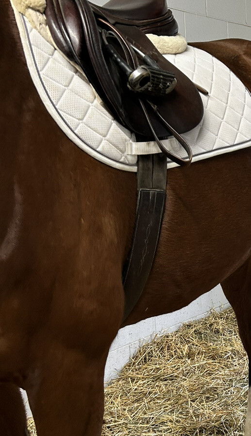 52” Leather English Girth