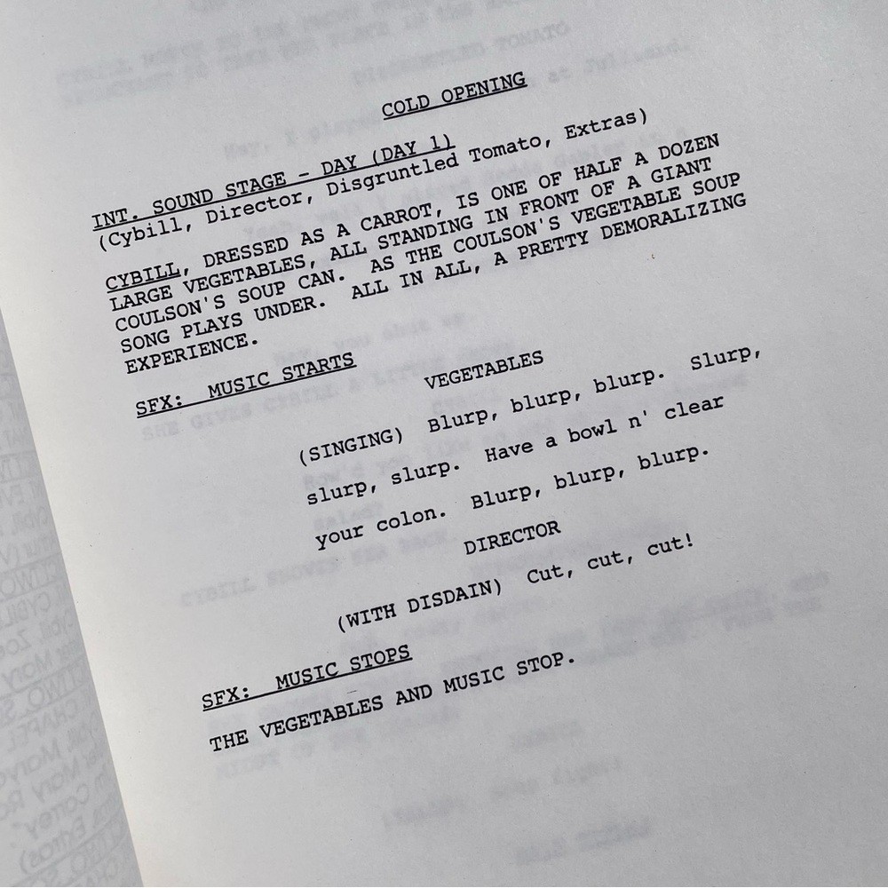 CYBILL 1996 TV Series SET Production Used Scripts Table Final Revised Drafts