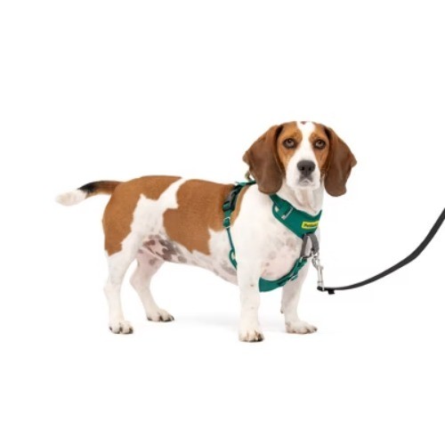 PetSafe Comfort No Pull Adjustable Dog Harness - Green