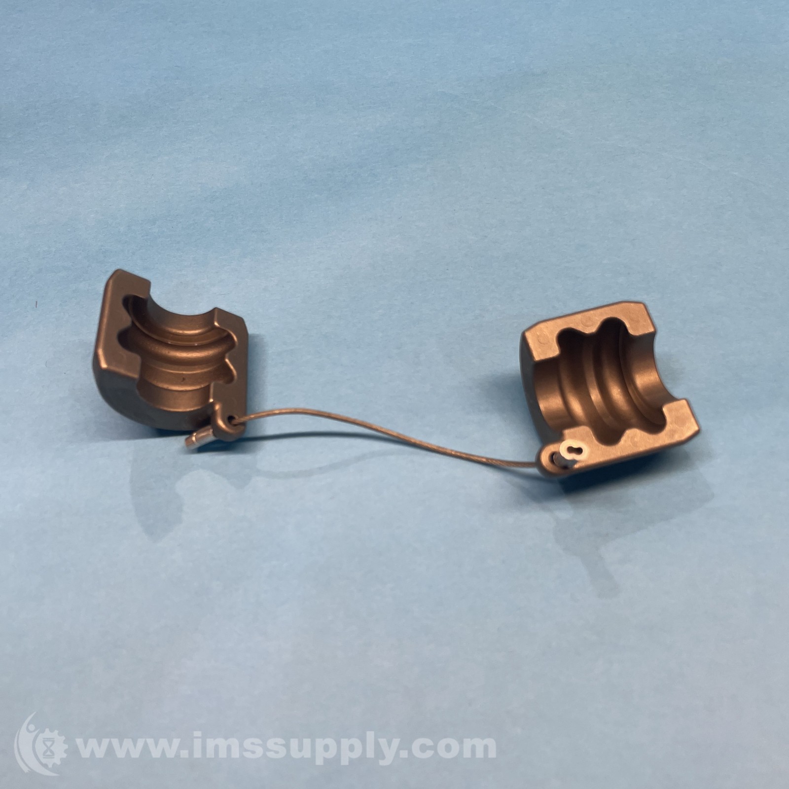 Brush Holder Assembly FNIP