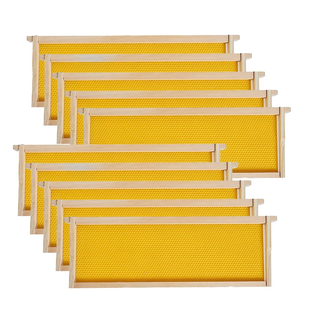Medium Super Beehive Frames with Wax Foundations, 10 Pack Honey Bee Frames wi...
