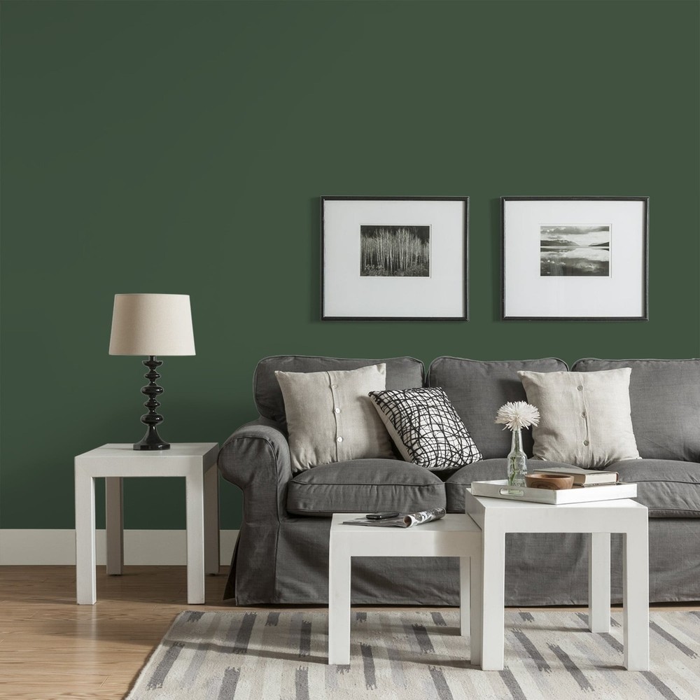 Fundamentals Pine Forest / Green Eggshell Interior Paint 1 Gallon