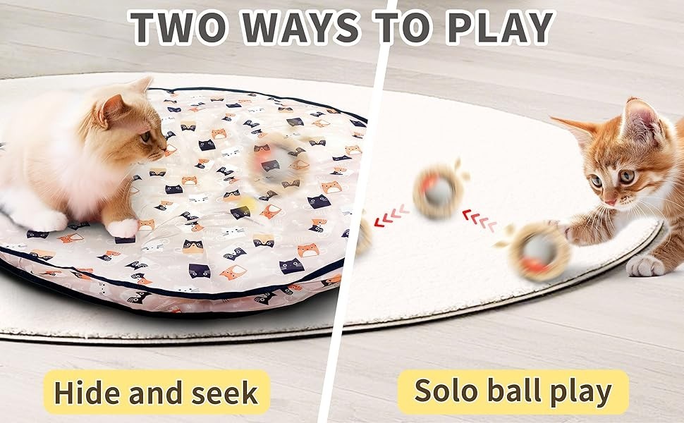 Interactive Cat Toy Ball Fast Rolling in Pouch, Motion Activate Chirping Sensory