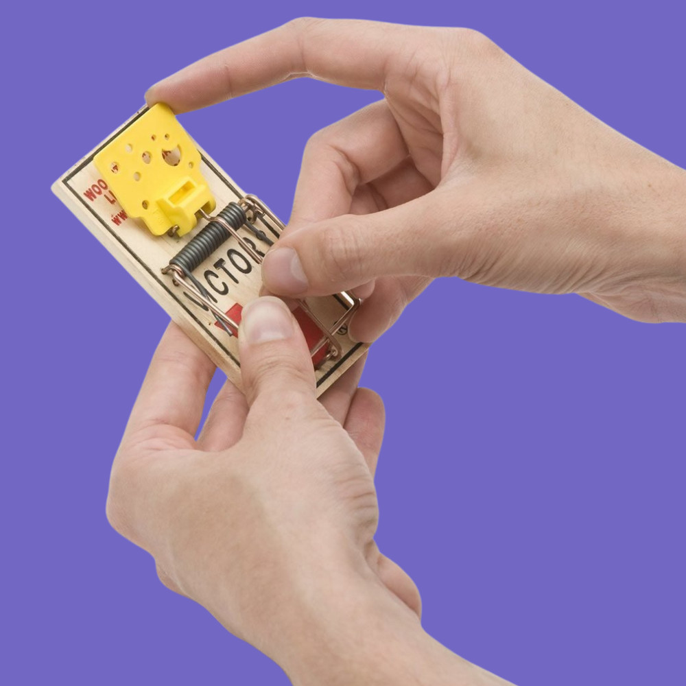 Easy Set Mouse Traps, 2-Pack, - (4 count )