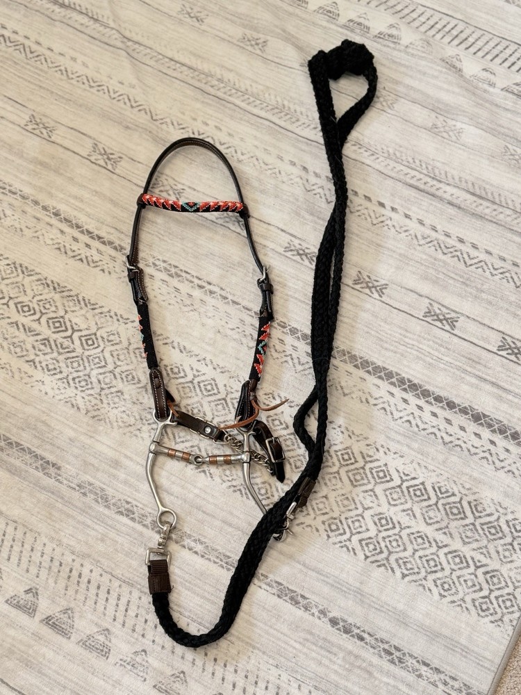 Western Bridle Set