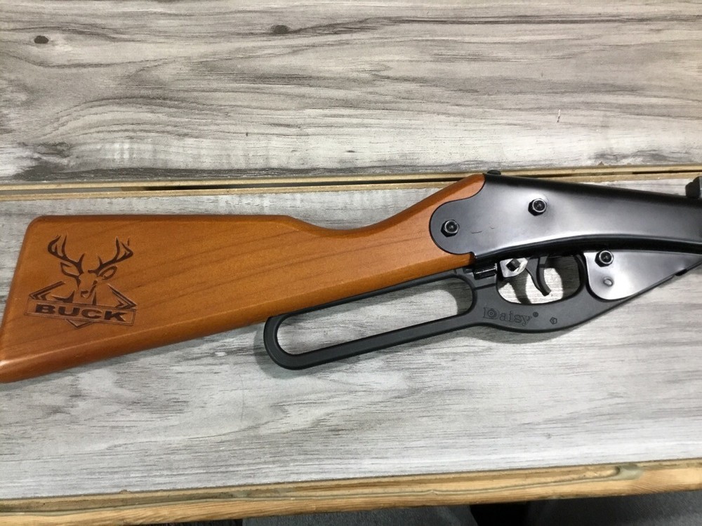 DAISY BUCK (PSL035561)