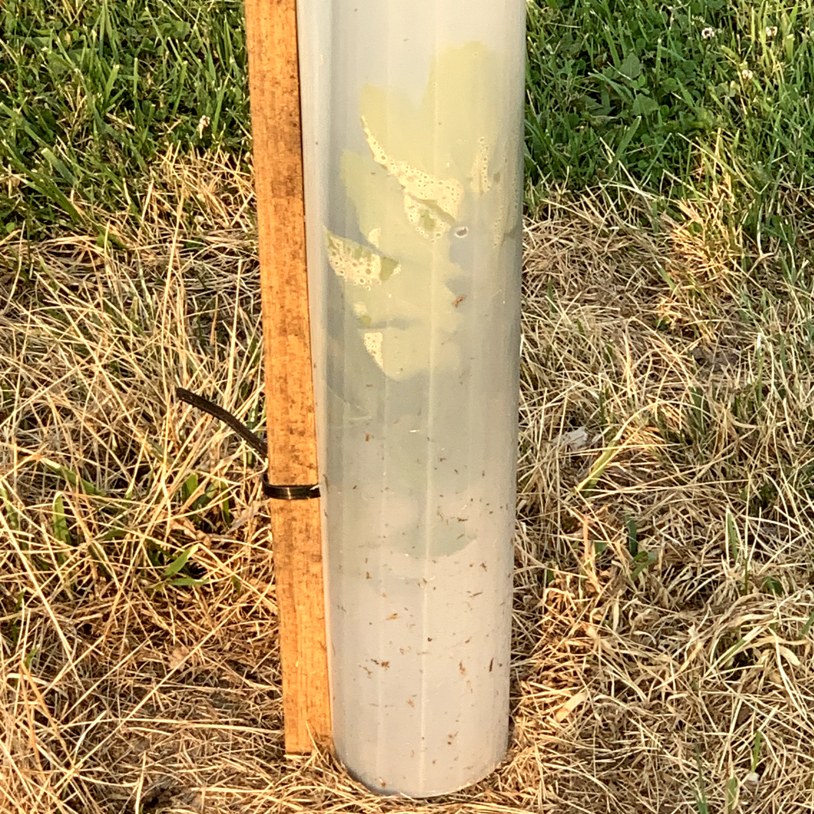 5 USA Made 12"-72" TREE PRO GROWTH SHELTER WILDLIFE GUARD TUBE PROTECTORS-Split