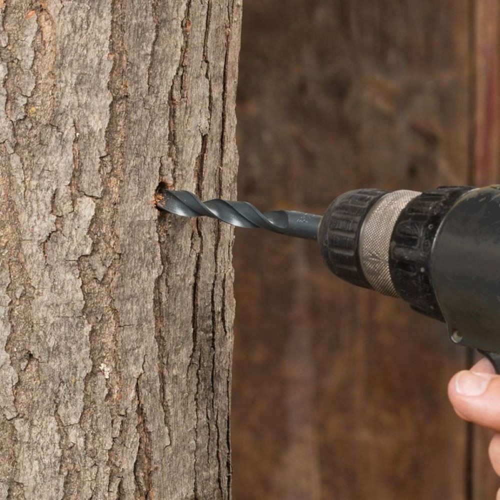 Tapping Bit for Maple Syrup Collecting