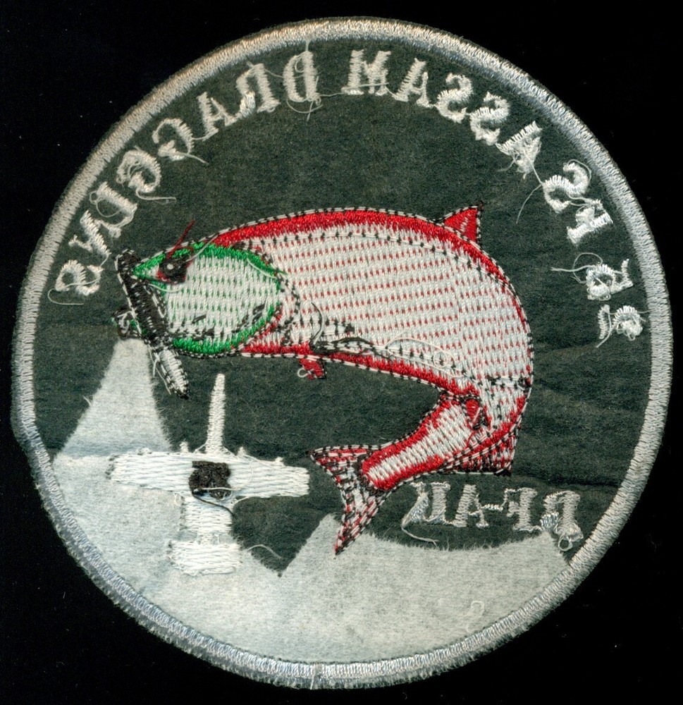 USAF 25th Fighter Squadron RF-AK Assam Draggins A-10 Patch K-2
