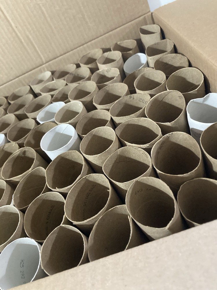 Toilet Paper Rolls Tubes Clean Empty Assorted 80 Crafts Projects Great Project!!
