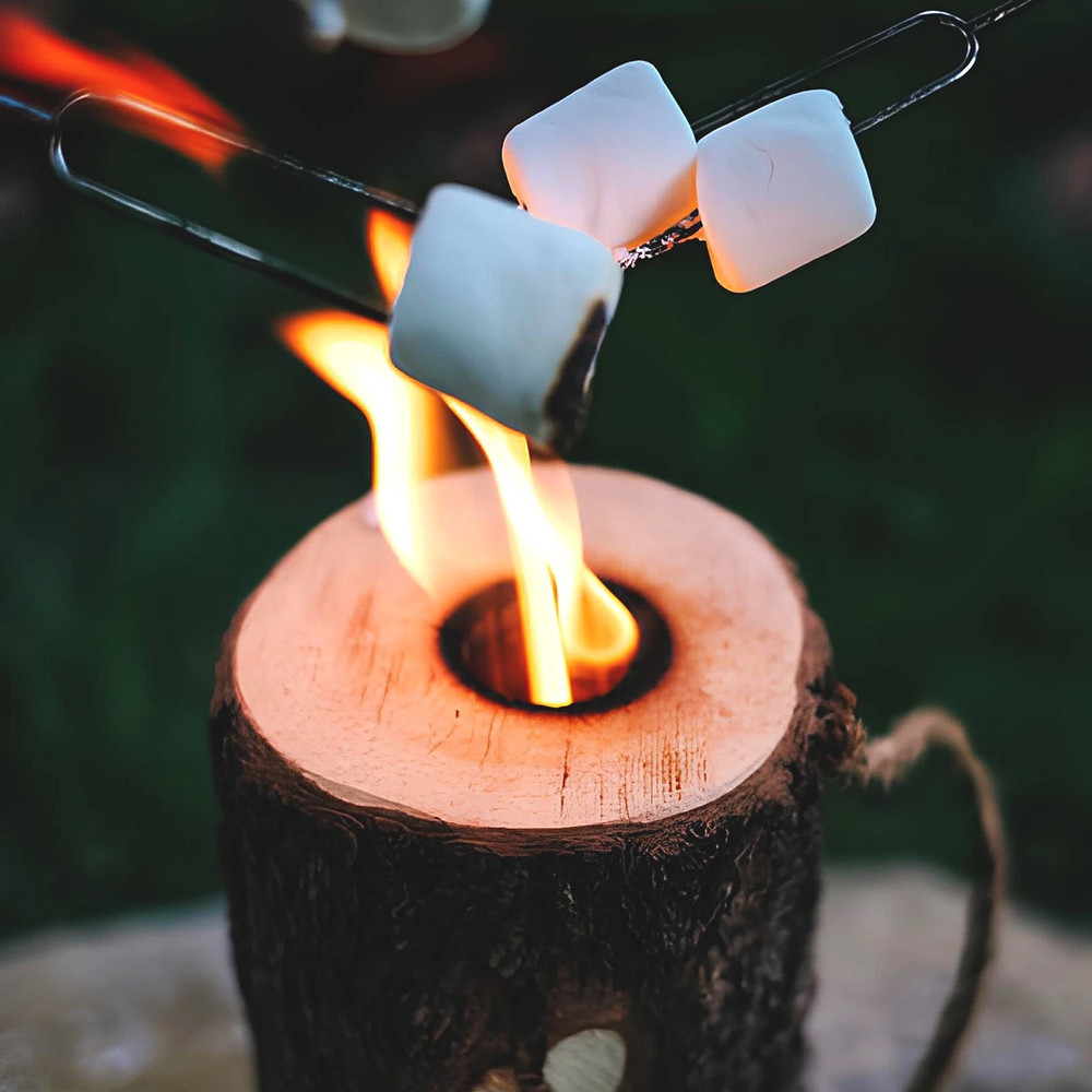 Gofire Single Log: Self-Contained, Easy-To-Light For Pits, Camping