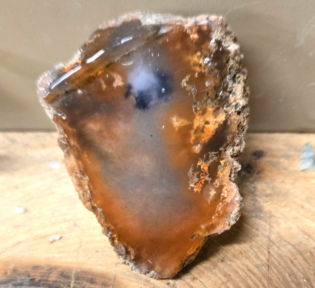 Assorted Plume & Moss Agates, Trimmed Cabochon Slabs Preforms 10 Pcs, Flat 118