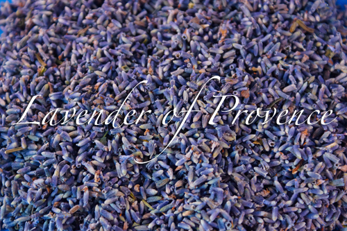 Lavender of Provence organic bulk French flower buds 1 4 8 10 16 lb oz FREE SH