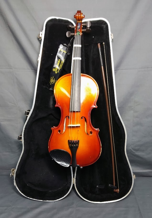 Hans Garrett  violin