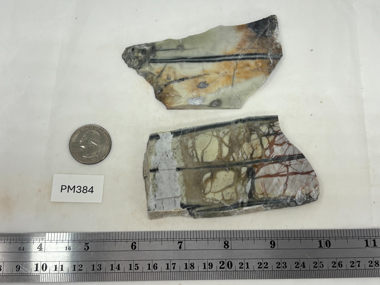 Picasso Marble (Jasper) Slabs Cabbing Lapidary Utah Combo Ship Avail