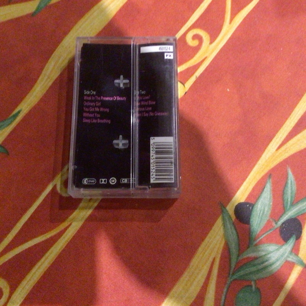 Raindancing - Alison Moyet Cassette (1987) CBS Records