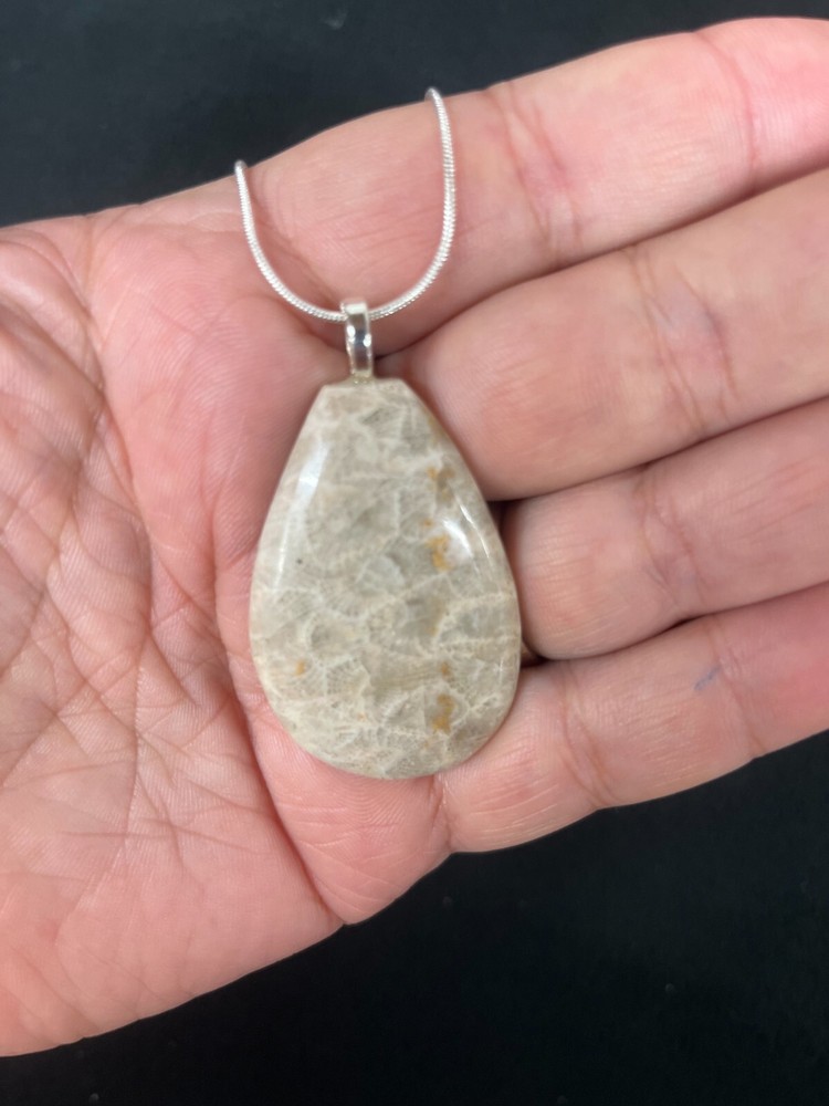 Petoskey Stone Pendant Michigan