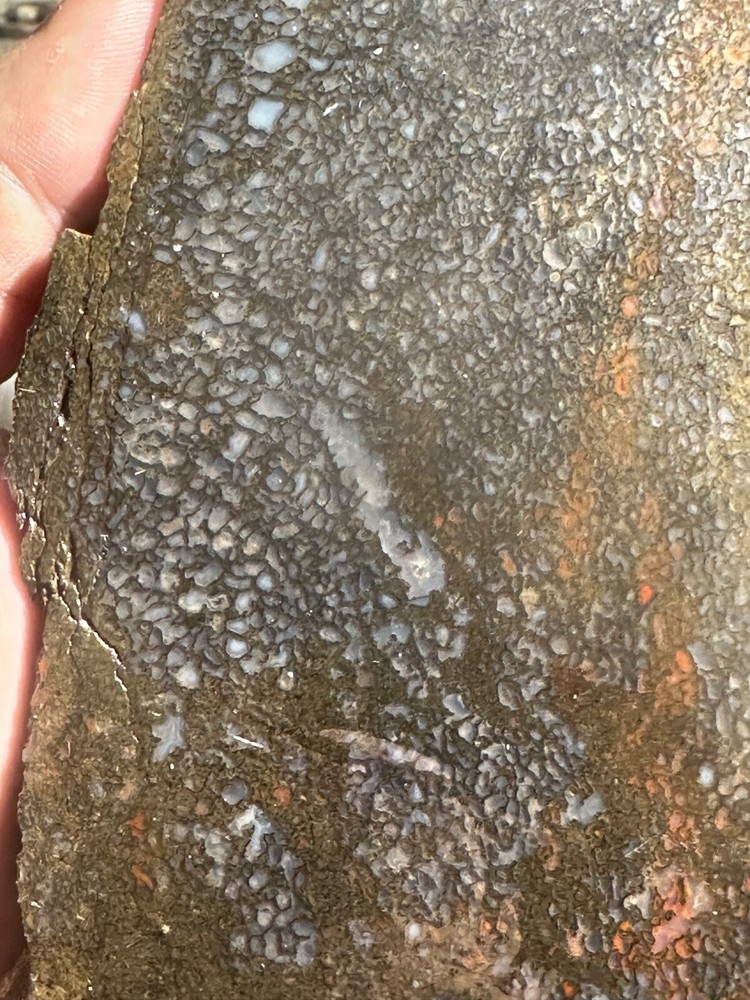 Dinosaur bone rough **hxtled large slab.