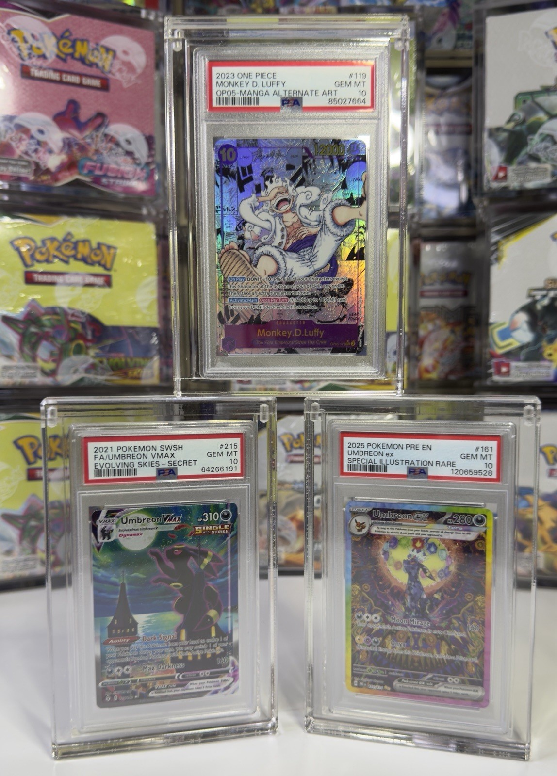 PSA Graded Card Slab Acrylic Case Display With Magnetic Lid