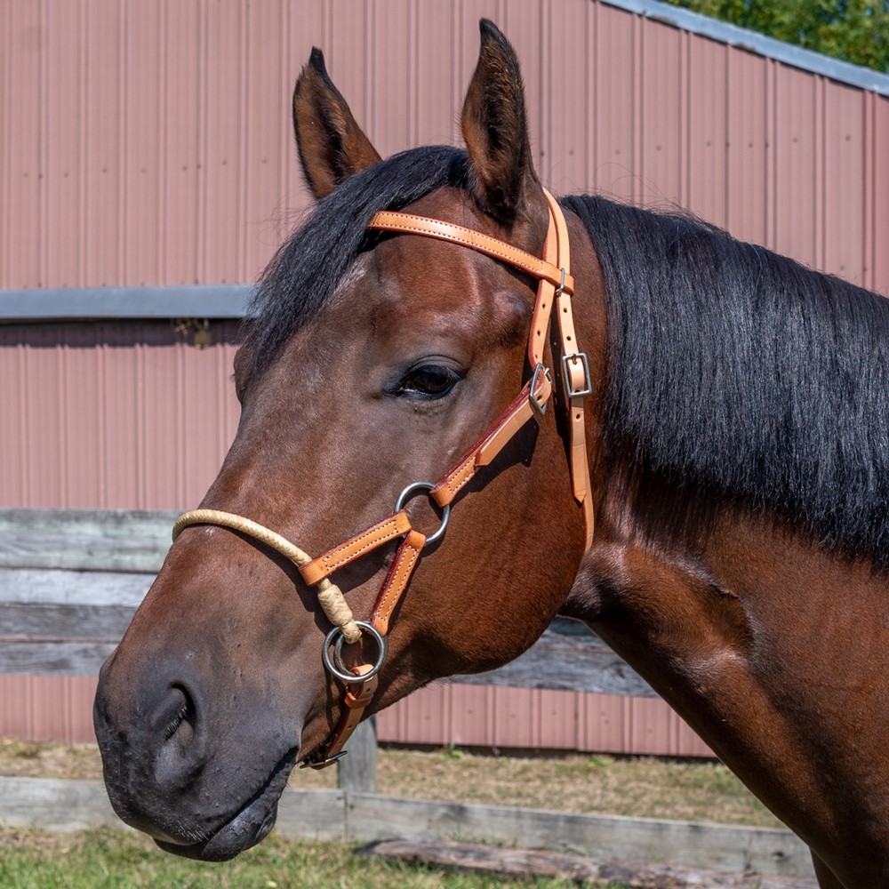 Side Pull Headstall - Rawhide noseband - Light Oil Leather